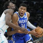 Basket-ball des Hornets Bucks